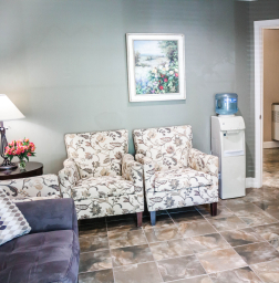 Flowery armchairs in dental office waiting room