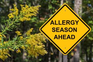 Yellow allergy caution sign next to blooming yellow plant outside